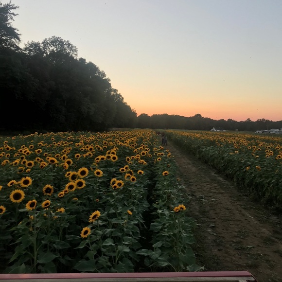 Meet your Posher, Lauryce - Picture 12 of 13